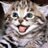 Twitter result for QVC from Sarai_AZ
