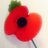 Twitter result for Debenhams Ireland from alanburns07