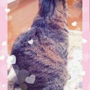 monmonmon (@01280512) Twitter