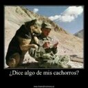 Arley Amado (@001Arlei) Twitter