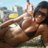 Cam Girl Krista Doll on Twitter Cam Girl Krista Doll on Twitter
