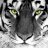 Twitter result for BHS Direct from MrsMorrisonBHS