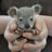 @BBAnimals