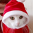 _46neko__