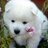 @matiuskuma44