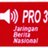 RRI_PRO3