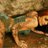 Pornstar Shay Hendrix on Twitter Pornstar Shay Hendrix on Twitter