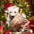 Neal Rauhauser's December 2013 Tweets before going dark. 010827c2969fb9fa19799bb416aa0c2d_normal