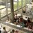 Biblioteket UiB