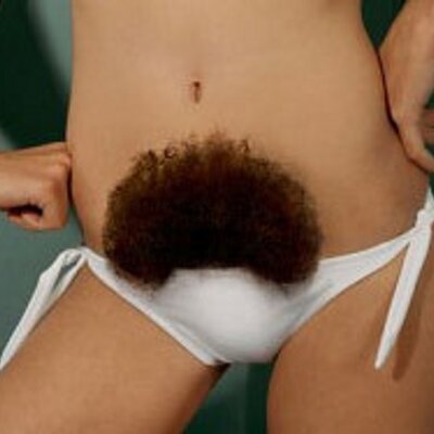 Resultado de imagem para Gifs eroticos vaginas peludas