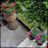 Twitter result for Fifty Plus from OldEllicottCity