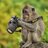Twitter result for Ellos from marioalbertov2