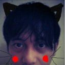 kucing