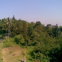 @abang_henry