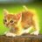 @babyanimalphoto