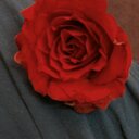 lamia_vip