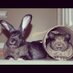 thebeachbuns