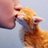 Passione Gatti