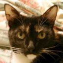 LuckyCat7