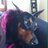 Twitter result for Ambrose Wilson from justin_ambrose