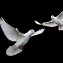SİNEM (@0202snem) Twitter