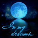 DreamySim1