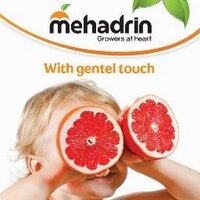 @MehadrinTnuport