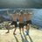profile rt