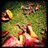 Twitter result for Alibris from photogjenn