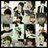 @a15m16_dt
