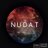 nudat0217