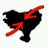 profile rt