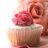 Twitter result for Dorothy Perkins from PreNatalHome