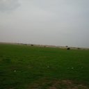 MUBARAKQ6R