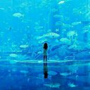 翔一 (@01303710) Twitter