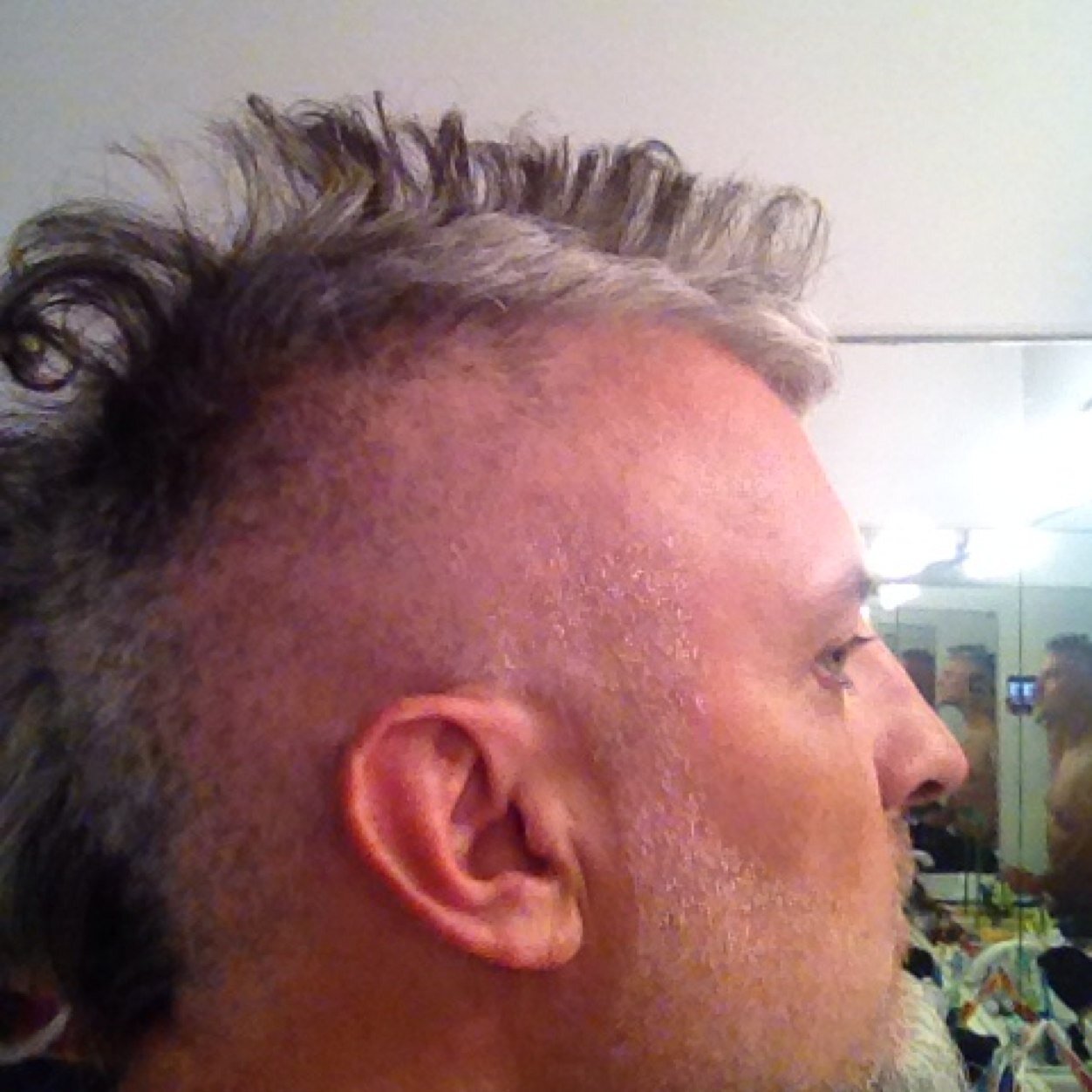 jose palazzo