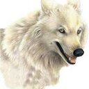 asdasdasdas (@01_gameking) Twitter