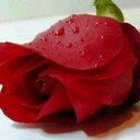 mohamed 017 (@017Mohamed) Twitter