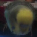.... (@00000ZZZ00000) Twitter