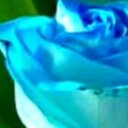 نرجسيه (@000Nargs) Twitter