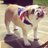 Twitter result for Ryman from sloppy_kiss