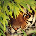 Murad Hossain (@007mmh) Twitter