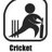 Twitter result for NatWest from cricketit1