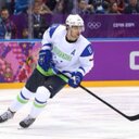 AnzeKopitar