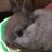 2018/03/31 23:18 ヒガシマルの昆布担当