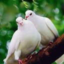 محمودأبوملك (@01021977588) Twitter