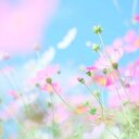 さ (@0207Saki) Twitter