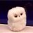 @H_east0077_JPN