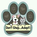 LCAnimalRescue