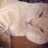 @fukuzawa_cat